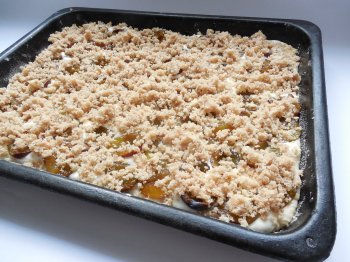 Kynutý švěstkový koláč