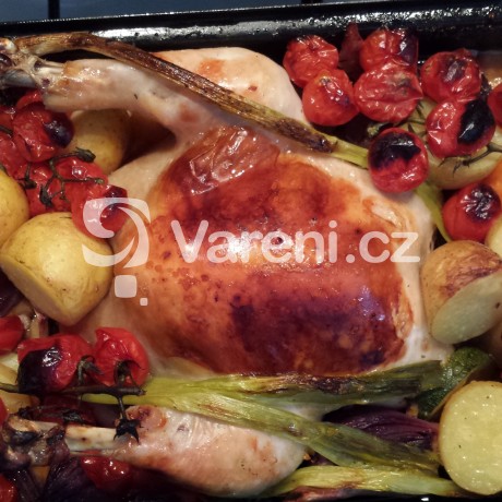 Pečené kuře s čerstvou zeleninou