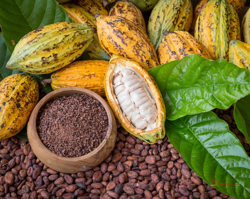 Kakaové máslo – pro zdraví, krásu a požitek z čokolády