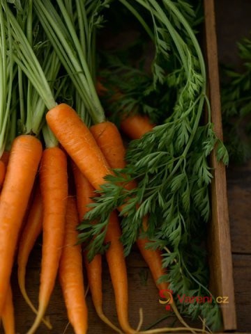 Co s přebytky zeleniny: Zkuste ji zmrazit a uchovat na zimu