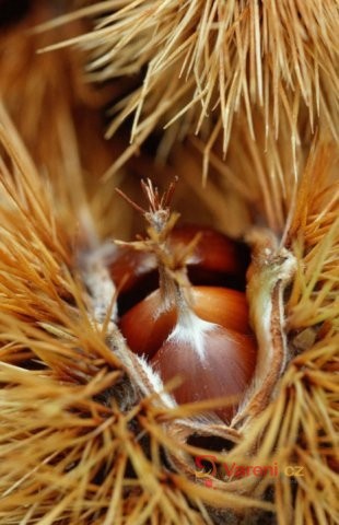 Přírodou proti podzimním splínům