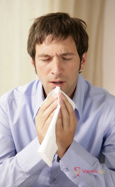 Prasečí chřipka