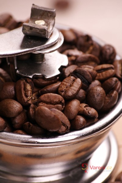 Zajímavá fakta ze světa potravin