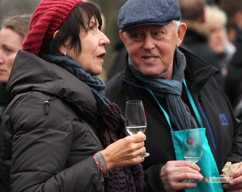 Přípitek na oslavu sezony: Jak a s čím podávat svatomartinské víno?