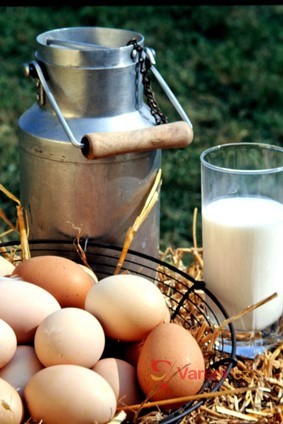 Mléko v naší kuchyni 1.díl