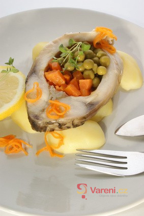 Sladkovodní ryby našich řek a rybníků 1.díl