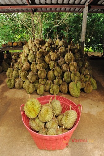 Durian, pitahaya a tamarillo: Jaká je jejich typická chuť a jak se konzumují?