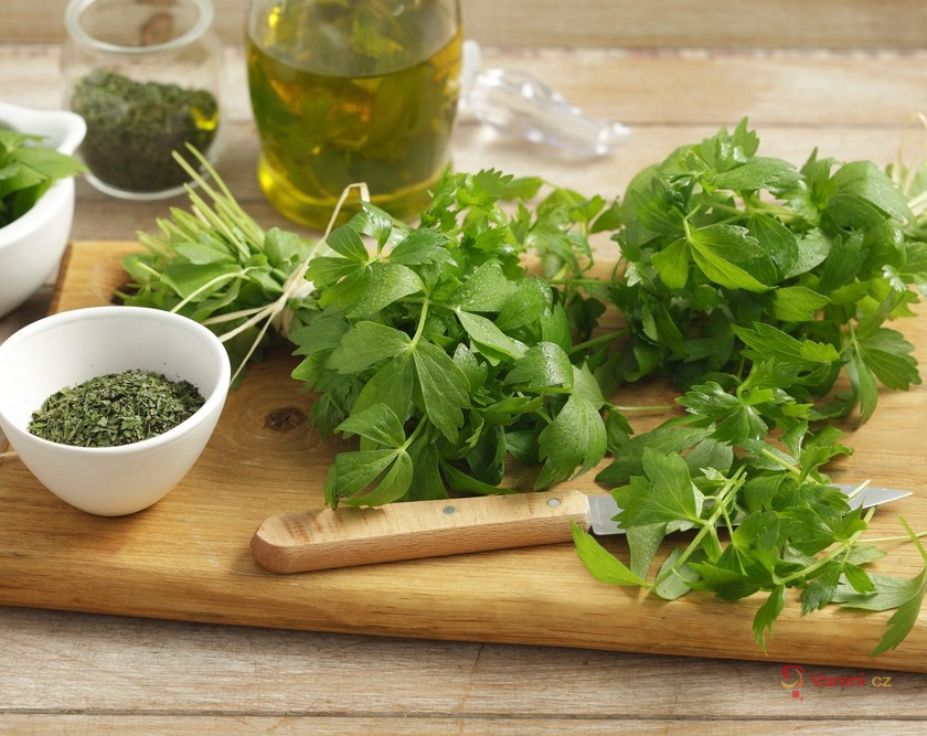 Aromatický libeček nejen do polévky: Zpestří chuť pokrmů a pročistí tělo