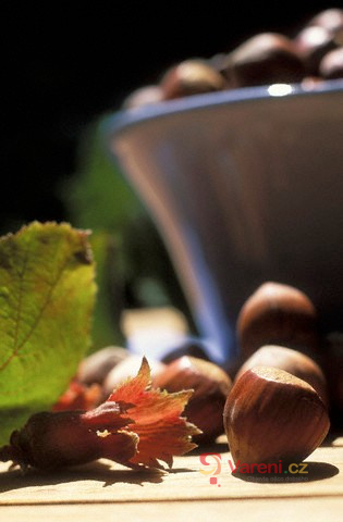 Kouzelné lískové oříšky