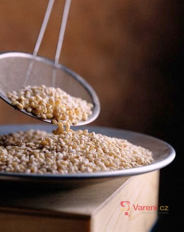 Vegetariánství a oblíbené obilí