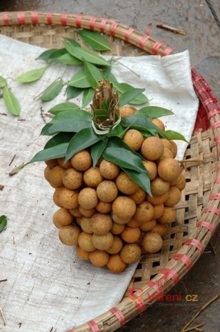 Rambutan a longan - blízcí příbuzní litchi