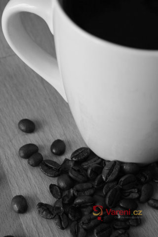 Původ kávy a její pěstování