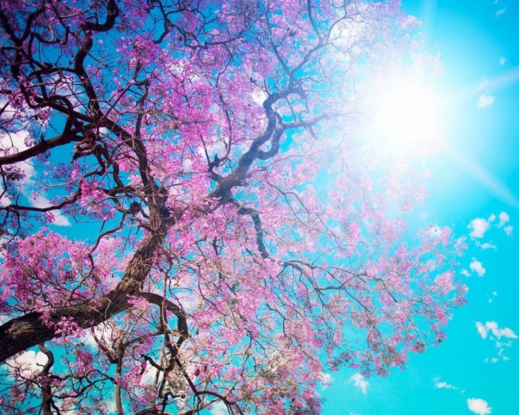 Kuchařka Moje receptíky