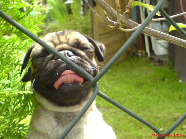 vyzkoušené recepty