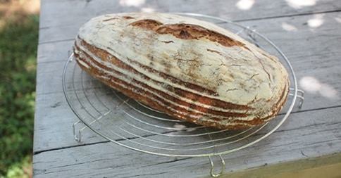 rohlíky,chleba, slané pečivo