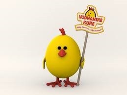 Kuchařka Poldova - Kuřecí masíčko 4