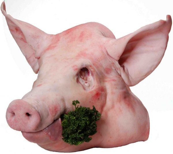 Kuchařka Poldova - Vepřové maso 2