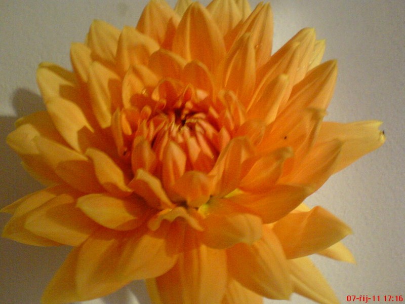 Kuchařka Saláty a pomazánky