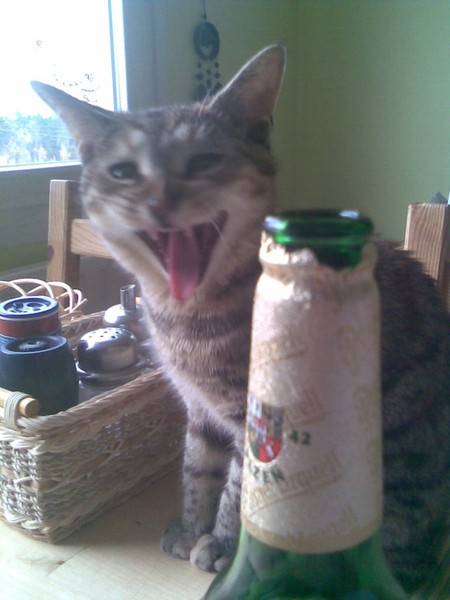 Kuchařka KruppEssen