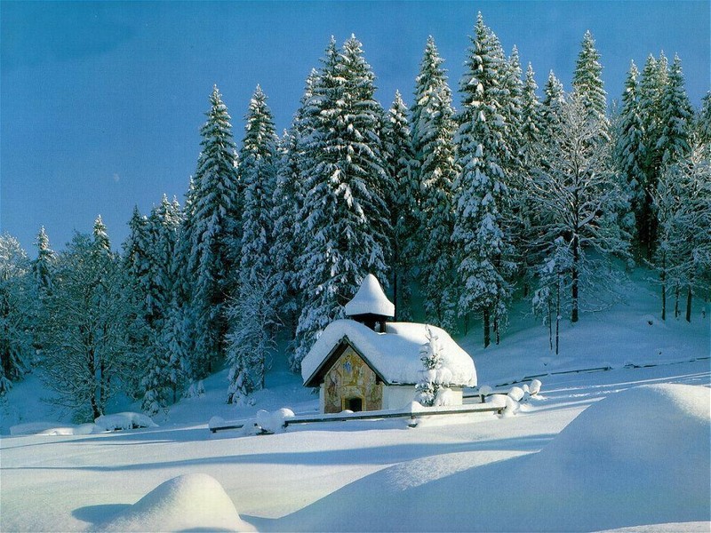 Poldova - Babiččiny recepty - Babicovy dobroty 1