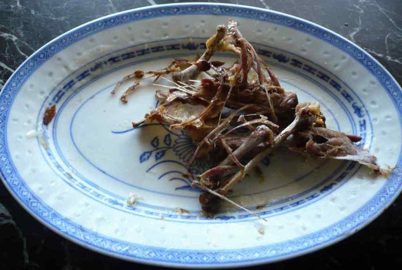 Kuchařka stažené recepty