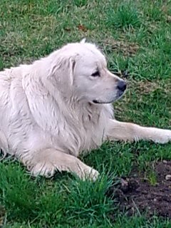 Kuchařka Co jsem našel I