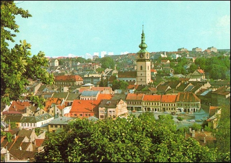 Kuchařka Poldova - Pokrmy ze zeleniny 2