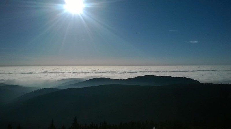 Kuchařka Poldova - Vepřové maso 20