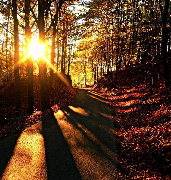 Kuchařka Poldova - Polévky 6