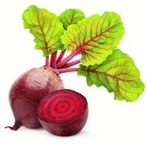 Kuchařka Červená řepa