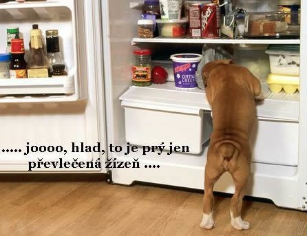 Kuchařka Bezlepková kuchařka