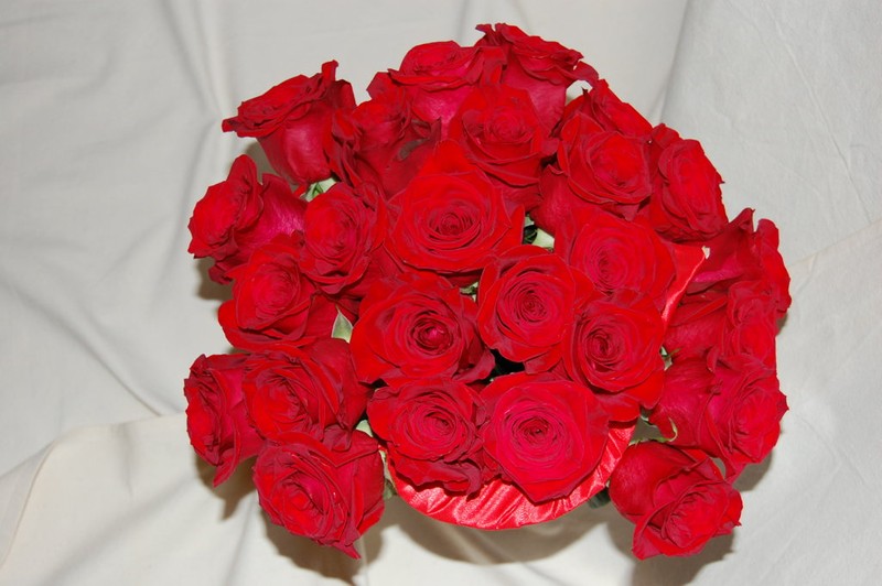 Kuchařka Moučníky