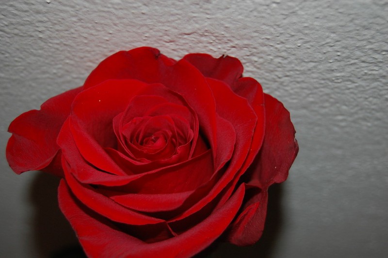 Kuchařka Sladká jídla