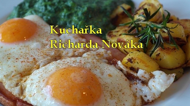 Kuchařka Kuchařka Richarda Nováka