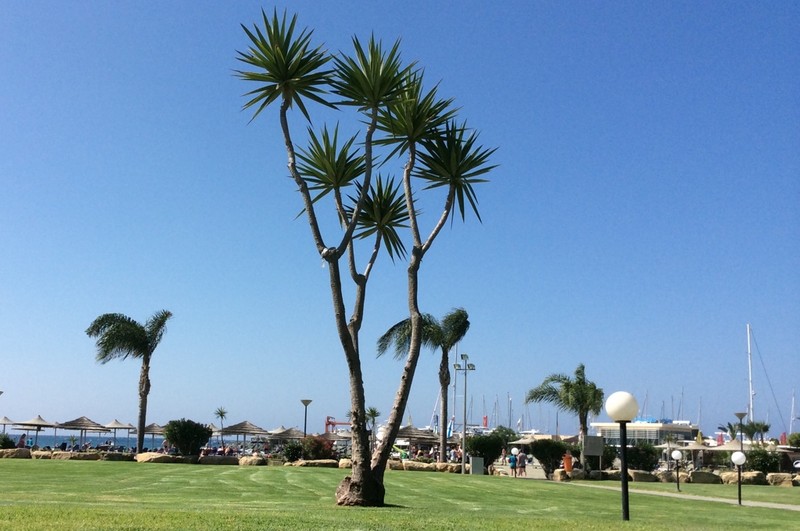 Kuchařka Kuchařka Grant Julča