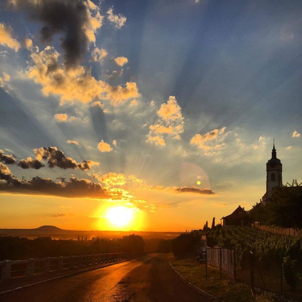 Kuchařka Janina kuchařka