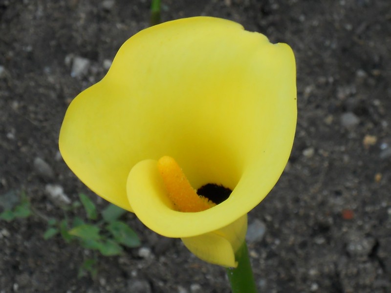 Kuchařka zdravé recepty