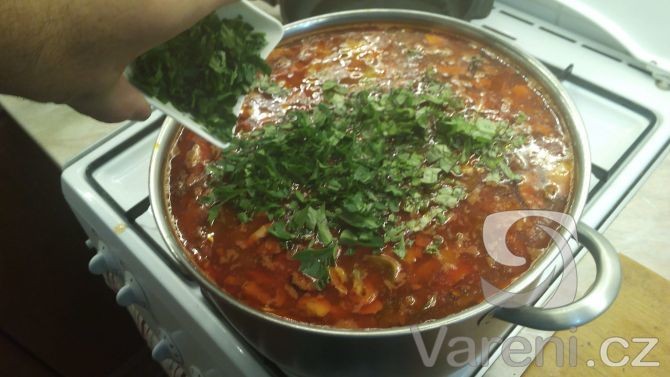 Kuchařka B 3 - Poldova - Polévky 22