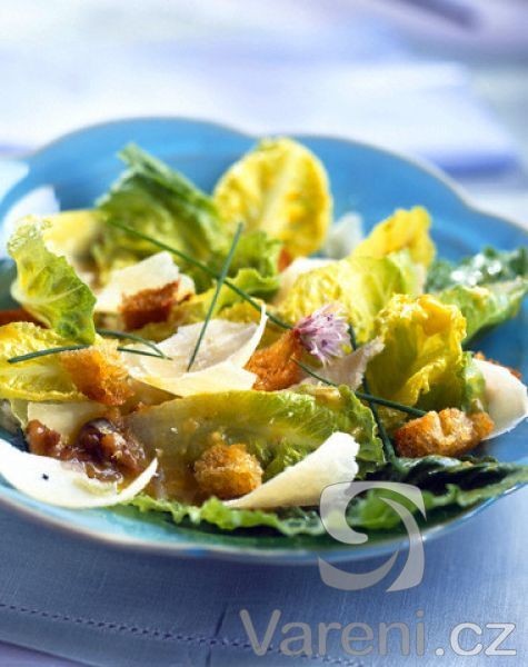 Kuchařka Poldova - Saláty 17