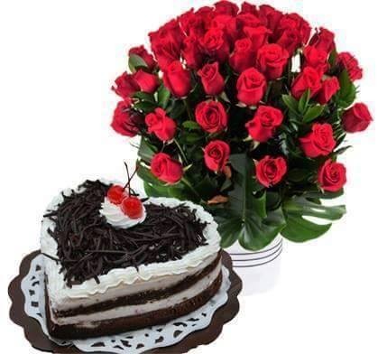 Kuchařka Jarčina kuchařka