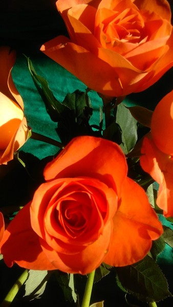 Kuchařka Jak to vařím já ♥