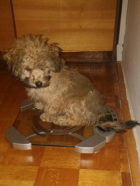 Kuchařka Pomazánky a saláty