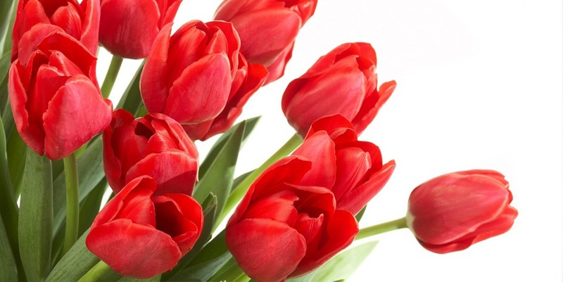 Kuchařka Recepty od Patlalky