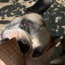 Kuchařka Niki kuchařka sladká