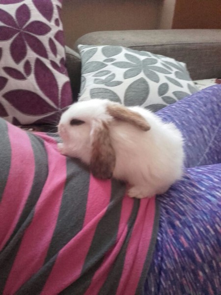 Kuchařka oblíbené moje recepty