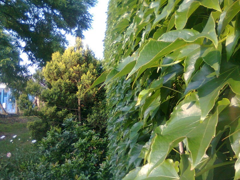 Kuchařka Slané recepty pro VV