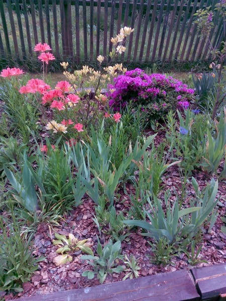 Kuchařka Nej recepty