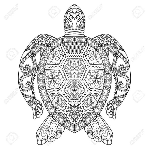 Kuchařka Domácí kuchařka