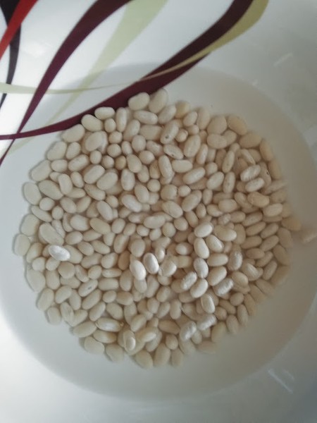 fazole bílé, červené, strakaté