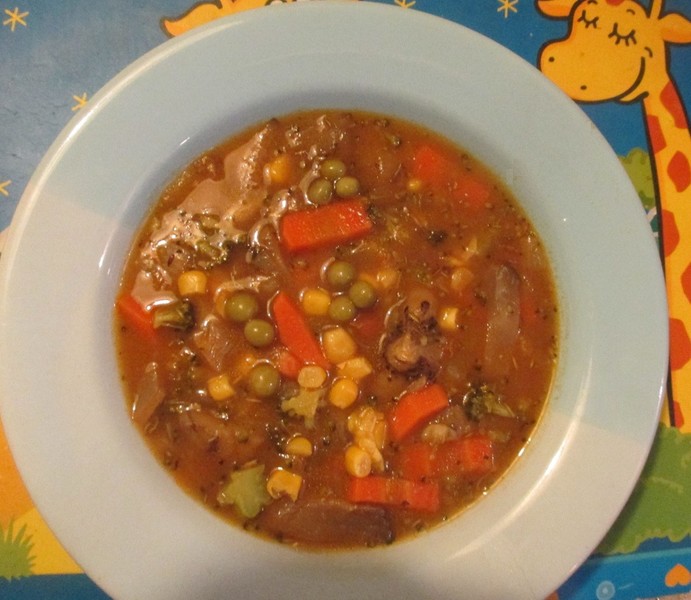 Kuchařka VEGANSKÉ POLÉVKY